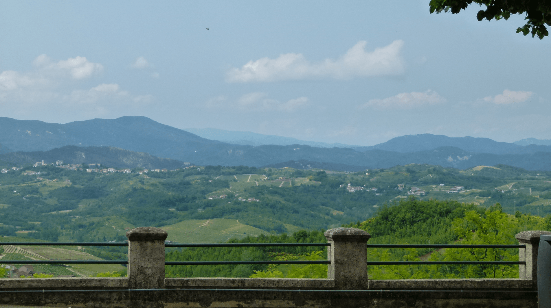 Collines et vignobles du Piémont