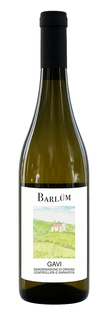 Bouteille de vin Gavi D.O.C.G.